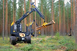 Ariel lift, carrying trunks of wood through forrest, as part of arboriculture duties. The company accessed this equipment through specialised finance for arboriculture companies.
