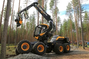 Tree climbing and rigging equipment in use, in a forrest as part of the arboriculture duties. These machines were accessed through specialised finance for arboriculture companies.